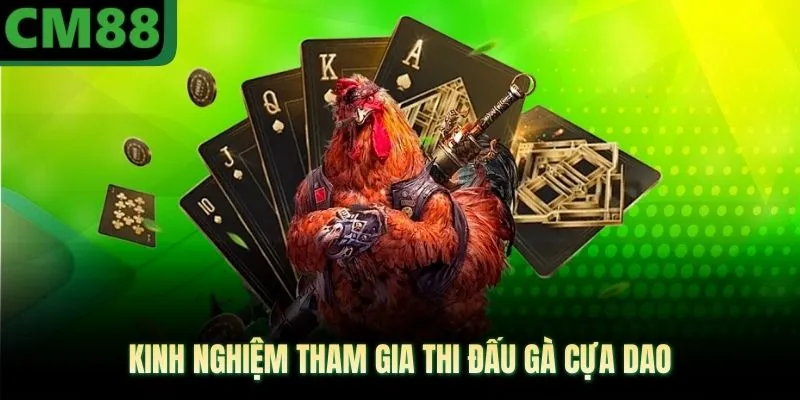 Kinh nghiệm tham gia thi đấu gà cựa dao