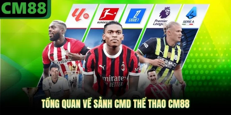 Tổng quan về sảnh CMD thể thao CM88